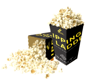 10 Pcs Popcorn Bags