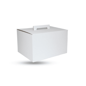 Large Kraft Gable Box